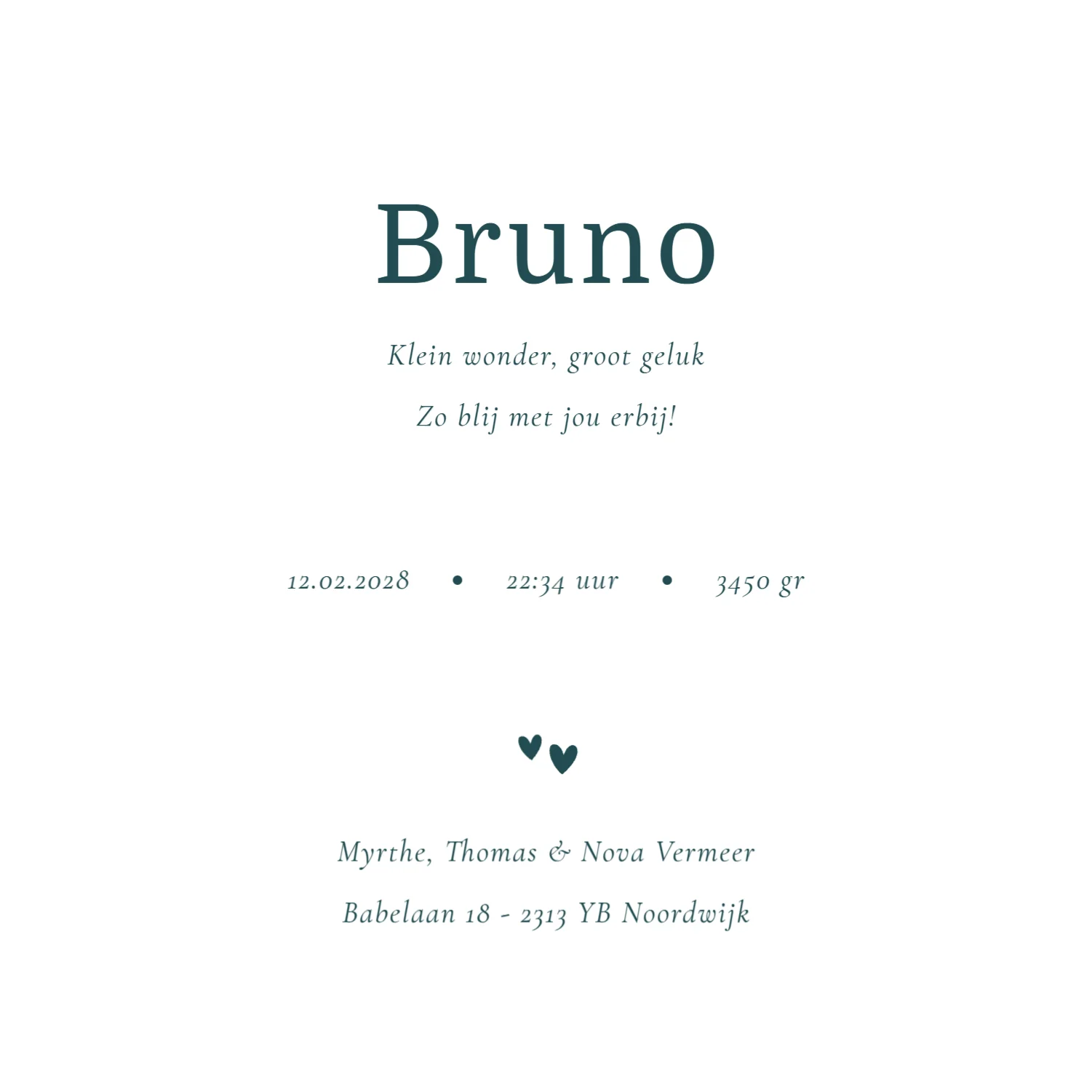 Bruno Tropische Zomer Elementen binnenkant