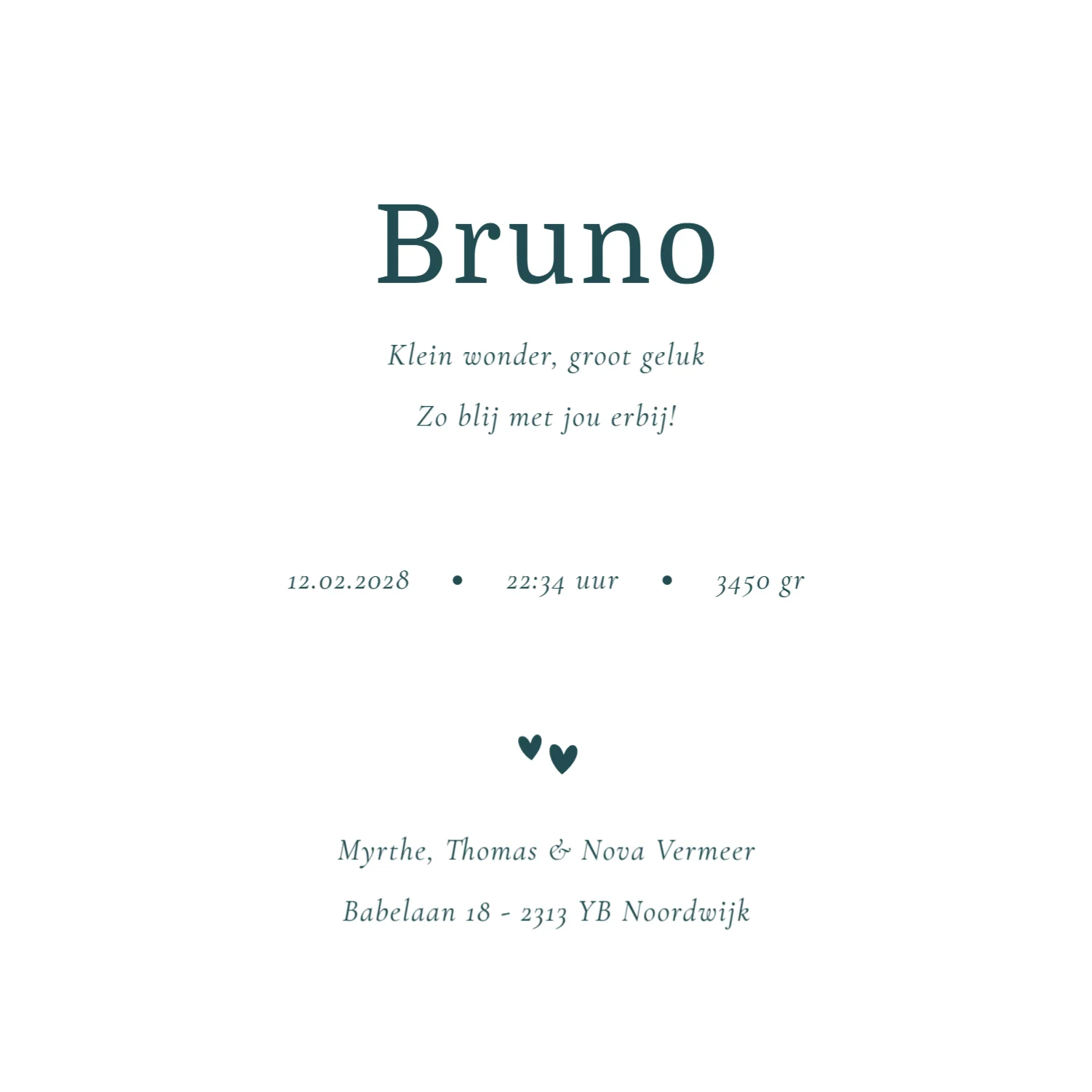 Tropische Zomer Elementen - Terug