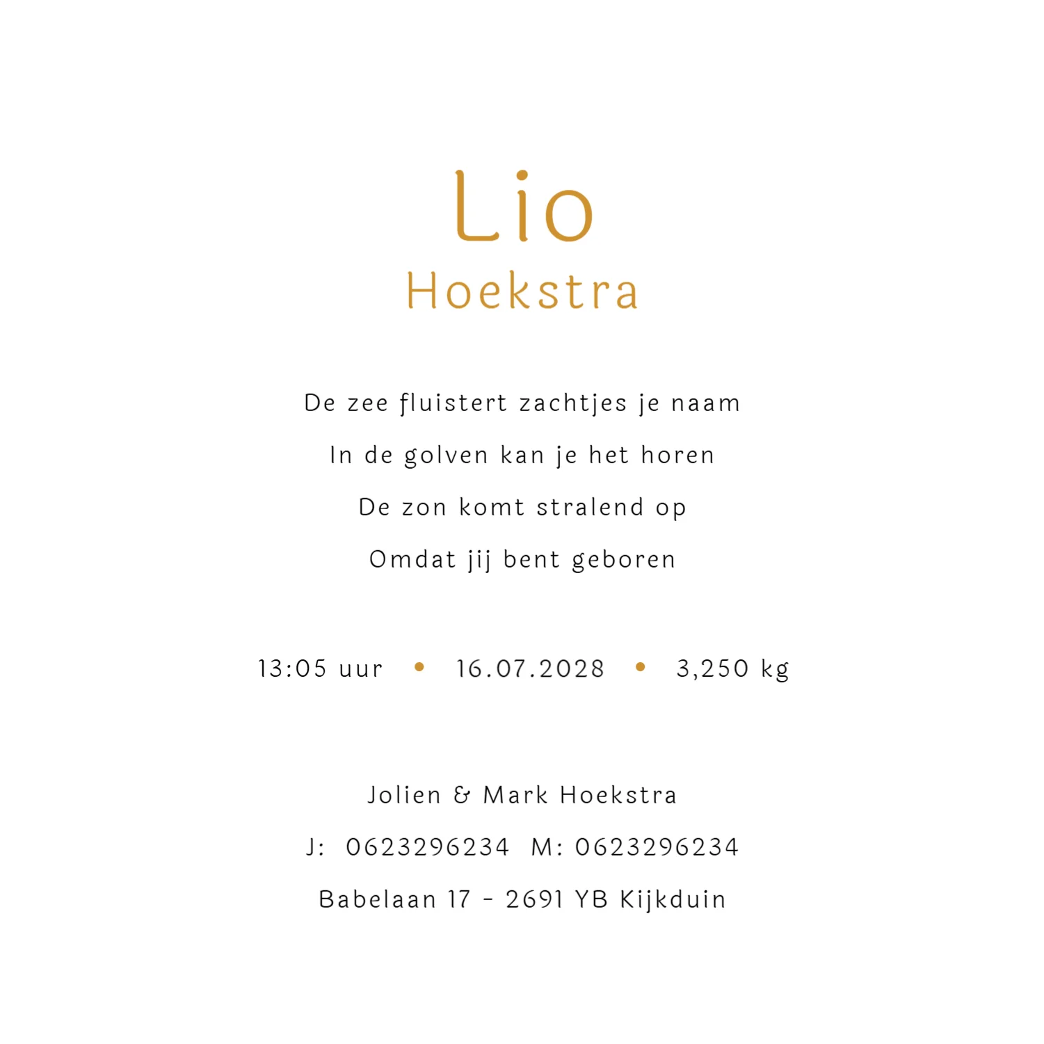 Zon met palmbomen binnenkant