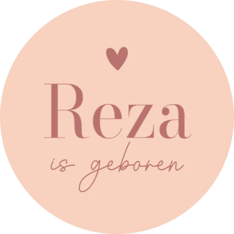 Nora Geblokt Roze Frame