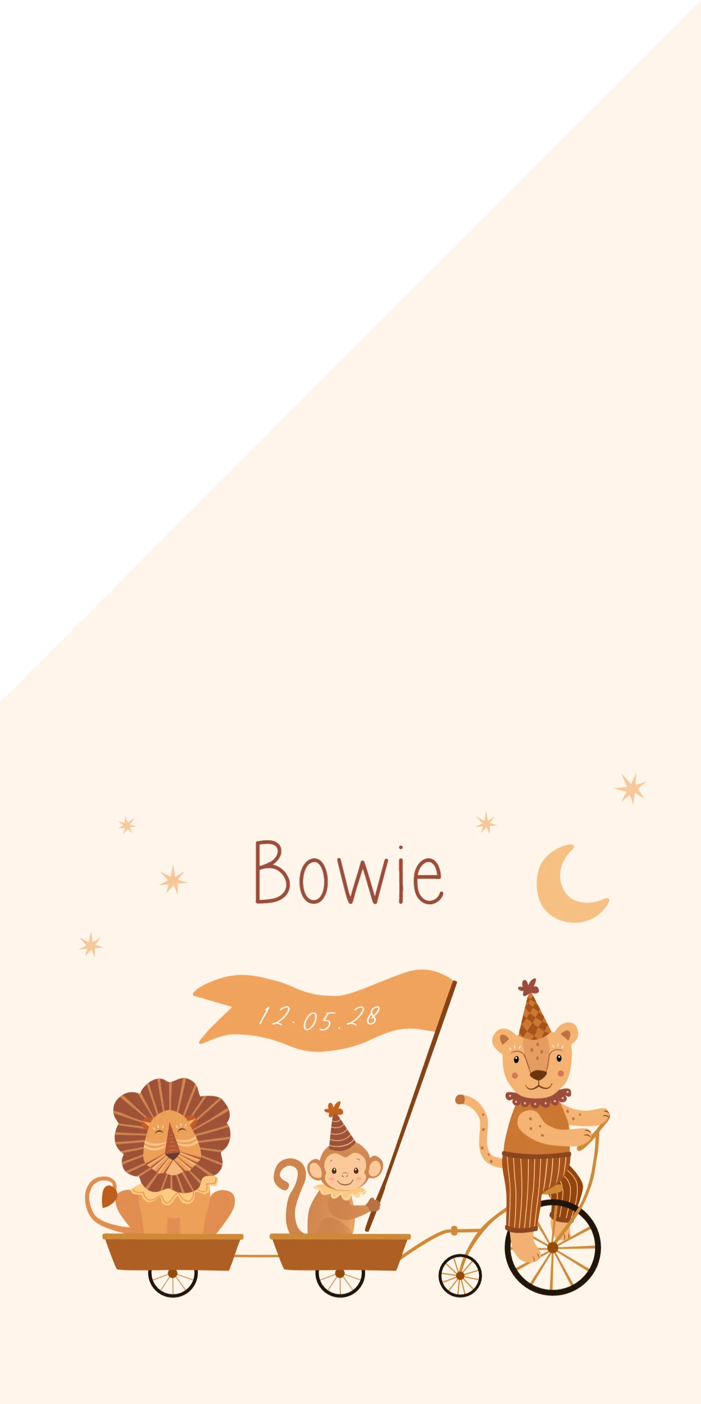 Vrolijke Dierenparade op Fiets