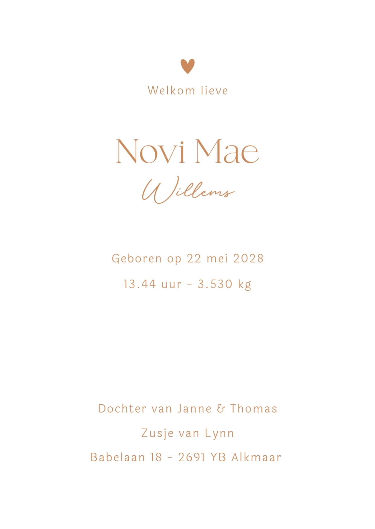 Grote zus met baby - Terug