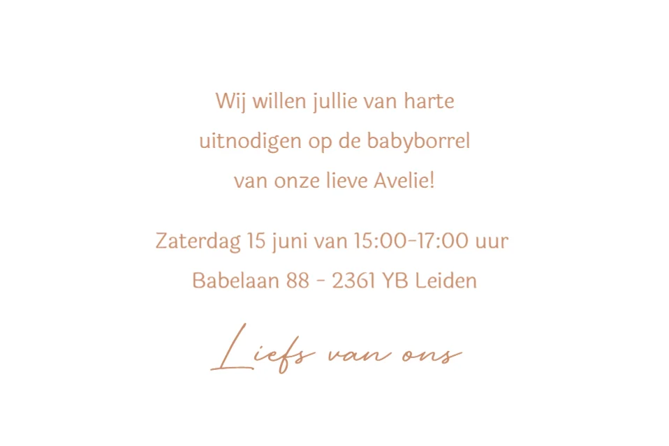 Silhouet grote broer met zusje - Terug